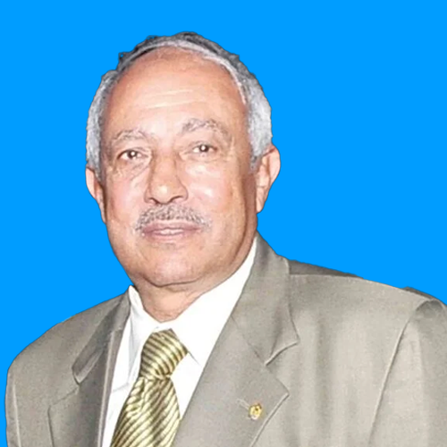 أ.د محمد عبد الله الحماحمي